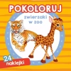 Pokoloruj. Zwierzaki w zoo - zdjęcie
