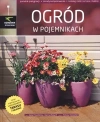 Ogród w pojemnikach - zdjęcie