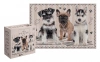 Puzzle 250 elementów. Pupile 2. Pieski - zdjęcie