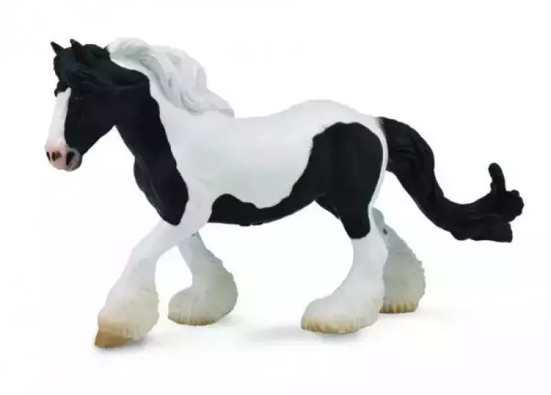 Klacz cygańska łaciata XL Klacz cygańska łaciata XL