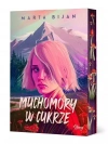 Muchomory w cukrze (barwione brzegi) - zdjęcie