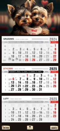 KALENDARZ TRÓJDZIELNY 2025 ROK PŁASKA GŁÓWKA MORSKIE OKO, zdjęcie 9
