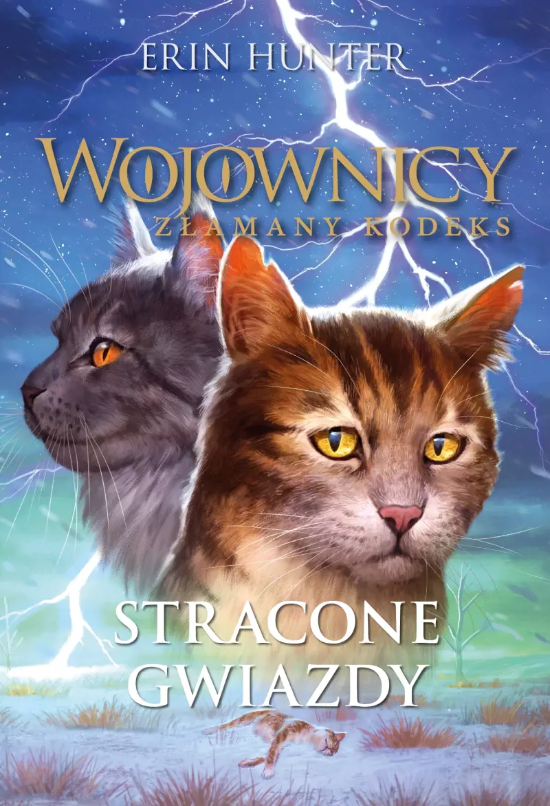 Stracone Gwiazdy. Wojownicy. Złamany kodeks Stracone Gwiazdy. Wojownicy. Złamany kodeks