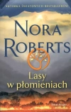 Lasy w płomieniach - zdjęcie