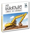 Jakie to ciekawe. Na budowie - zdjęcie