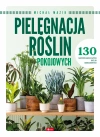 Pielęgnacja roślin pokojowych - zdjęcie