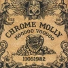 Hoodoo Voodoo. CD - zdjęcie