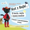 CD MP3 Kot z Bajki. O kocie, wężu i żywej wodzie. O kocie i czarodziejskim kruku - zdjęcie