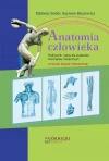 Anatomia człowieka - zdjęcie
