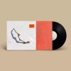 I Inside the Old Year Dying LP, Winyl - zdjęcie