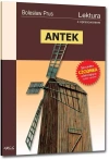 Antek - zdjęcie