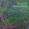 Summer Sun Like Stone Sean Ono Lennon Remix, LP - zdjęcie