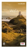 Travelbook. Walia - zdjęcie
