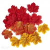 JESIENNE LIŚCIE KLONU 7-8 CM, 50 SZT. - zdjęcie