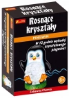 Kryształowy pingwin. Rosnące kryształy. RANOK - zdjęcie
