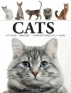 Cats - zdjęcie