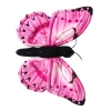 Motyl monarcha różowy - zdjęcie