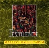 Malleus Maleficarum LP, Winyl - zdjęcie