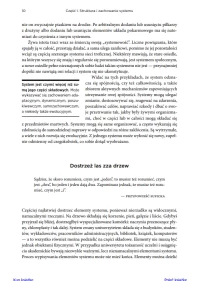 Myślenie systemowe. Wprowadzenie, zdjęcie 6