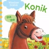 Konik iha, iha - zdjęcie