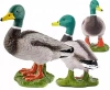 Schleich 17065 Kaczor (13824) - zdjęcie
