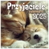 Kalendarz 2025 Ścienny 330x330 Przyjaciele - zdjęcie