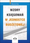 Wzory księgowań w jednostce budżetowej - zdjęcie