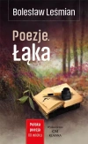 Polska poezja XX w. Poezje. Łąka - zdjęcie