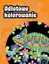 Odlotowe kolorowanie - zdjęcie