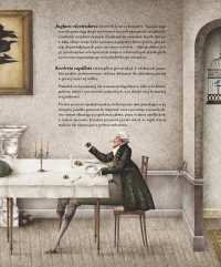 Bombastica Naturalis, zdjęcie 2
