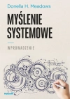 Myślenie systemowe. Wprowadzenie - zdjęcie