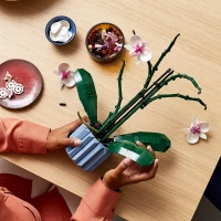 LEGO Icons Orchidea 10311, zdjęcie 8