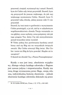 Kim jesteś, o Niepokalana?, zdjęcie 12