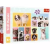 Puzzle 160 Psia przyjaźń TREFL - zdjęcie