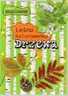 Leśna kolorowanka. Drzewa - zdjęcie
