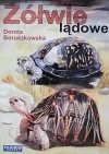 Żółwie lądowe - zdjęcie
