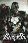 Punisher. Tom 1 - zdjęcie