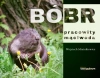 Bóbr, pracowity mąciwoda - zdjęcie