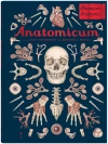 Anatomicum. Muzeum Anatomii - zdjęcie