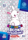 Blok rysunkowy A3 kolorowy barwiony w masie, 15 arkuszy - zdjęcie