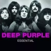 Essential - zdjęcie