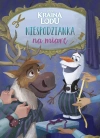 Kraina Lodu. Niespodzianka na miarę - zdjęcie