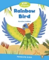 PEKR Rainbow Bird (1) - zdjęcie