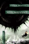 Ślepowidzenie - zdjęcie