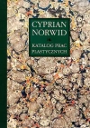 Katalog prac plastycznych Cyprian Norwid Tom 2 - zdjęcie