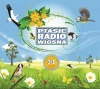 Ptasie radio - Wiosna - Wiosenne głosy... SOLITON - zdjęcie