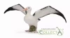 Albatros wędrowny L - zdjęcie