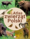 Atlas zwierząt Polski - zdjęcie