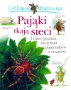 Ciekawe dlaczego pająki tkają sieci - zdjęcie