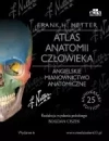 Atlas anatomii człowieka. Angielskie mianownictwo anatomiczne - zdjęcie